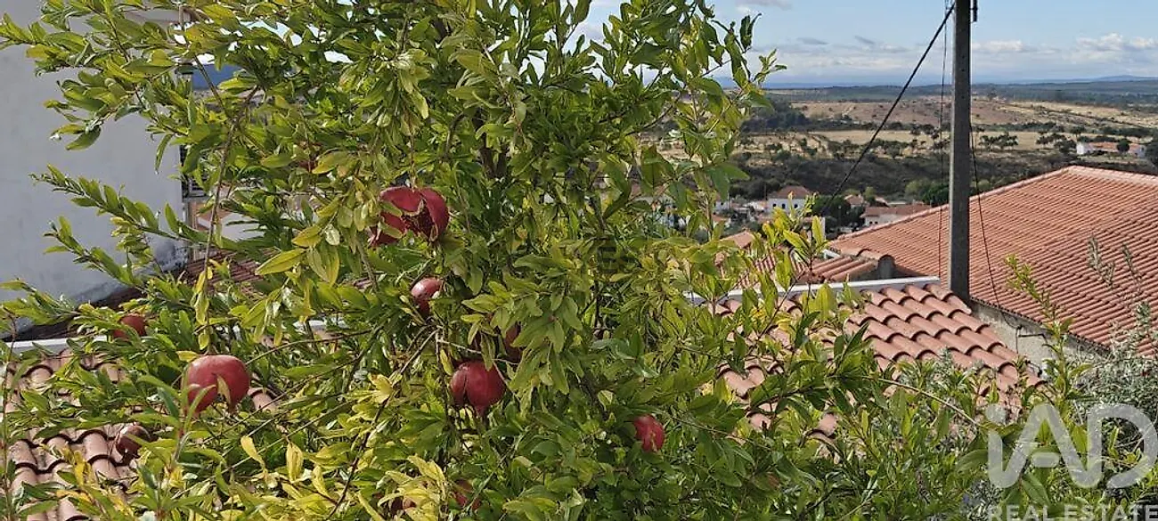 Moradia T0 à venda em Penha Garcia, Idanha-a-Nova — foto 6