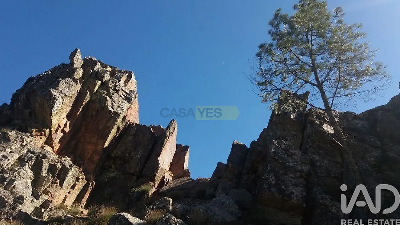 Moradia T0 à venda em Penha Garcia, Idanha-a-Nova — foto 33