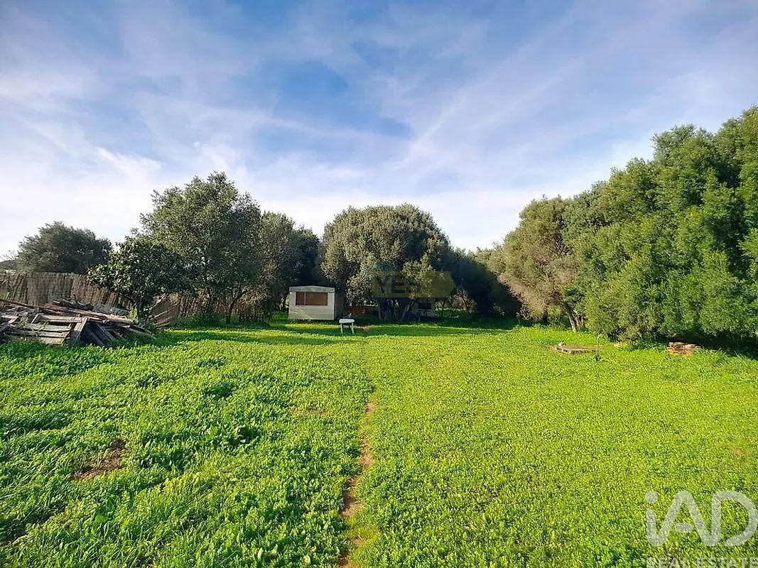 Moradia T3 à venda em São Bartolomeu de Messines, Silves — foto 27