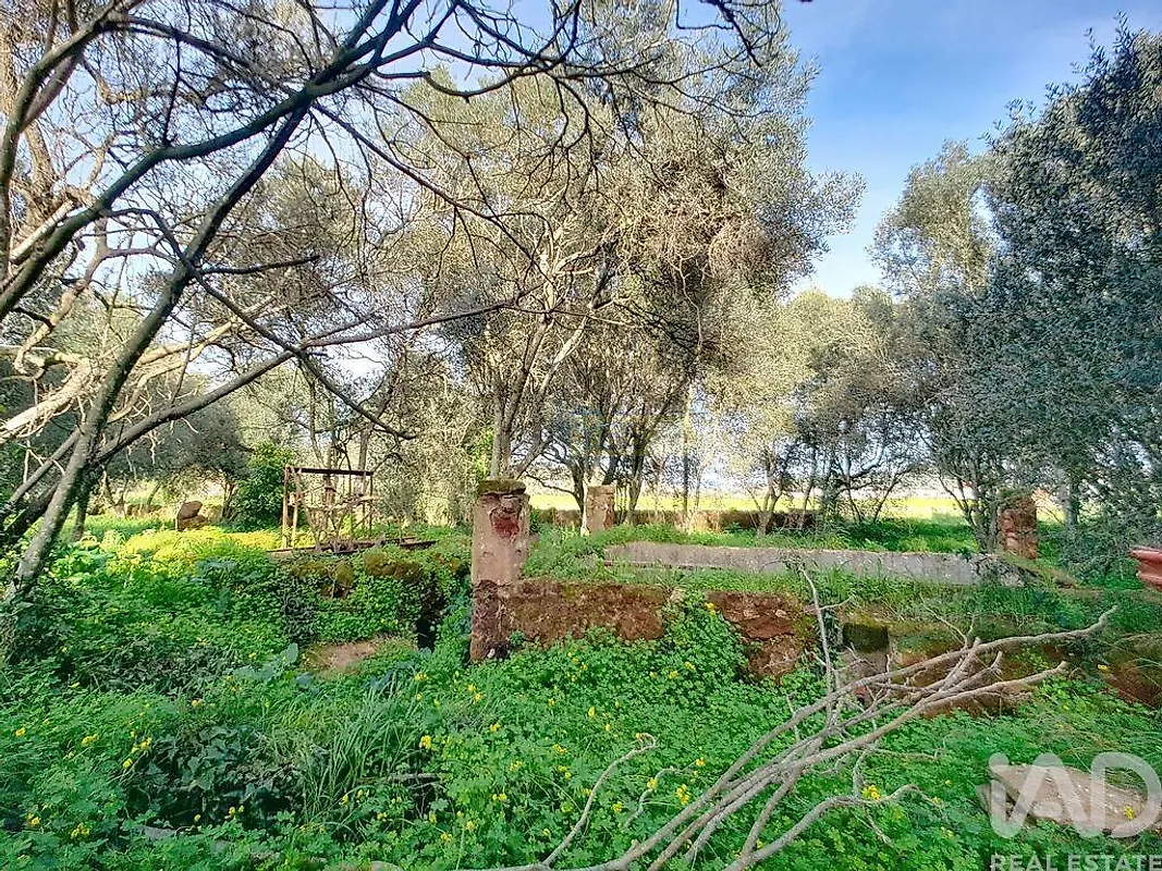 Moradia T3 à venda em São Bartolomeu de Messines, Silves — foto 26