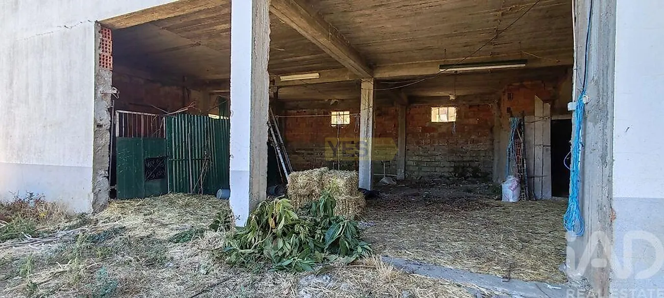 Moradia T0 à venda em Proença-a-Nova e Peral, Proença-a-Nova — foto 24
