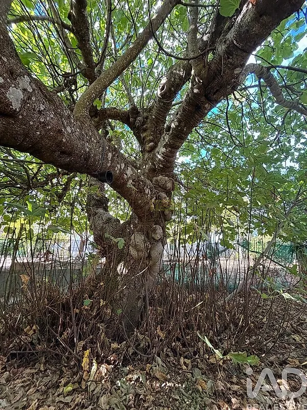 Moradia T3 à venda em Montes da Senhora, Proença-a-Nova — foto 18