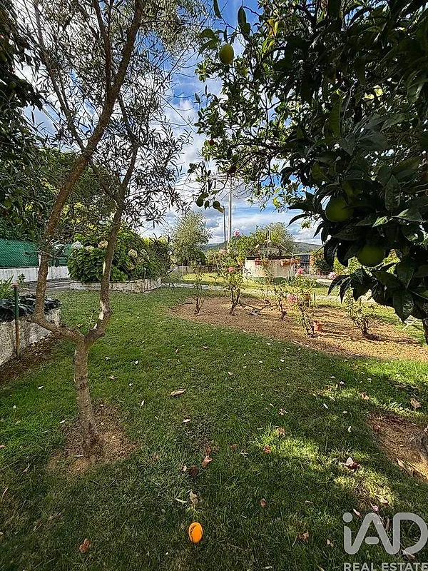 Moradia T3 à venda em Montes da Senhora, Proença-a-Nova — foto 20