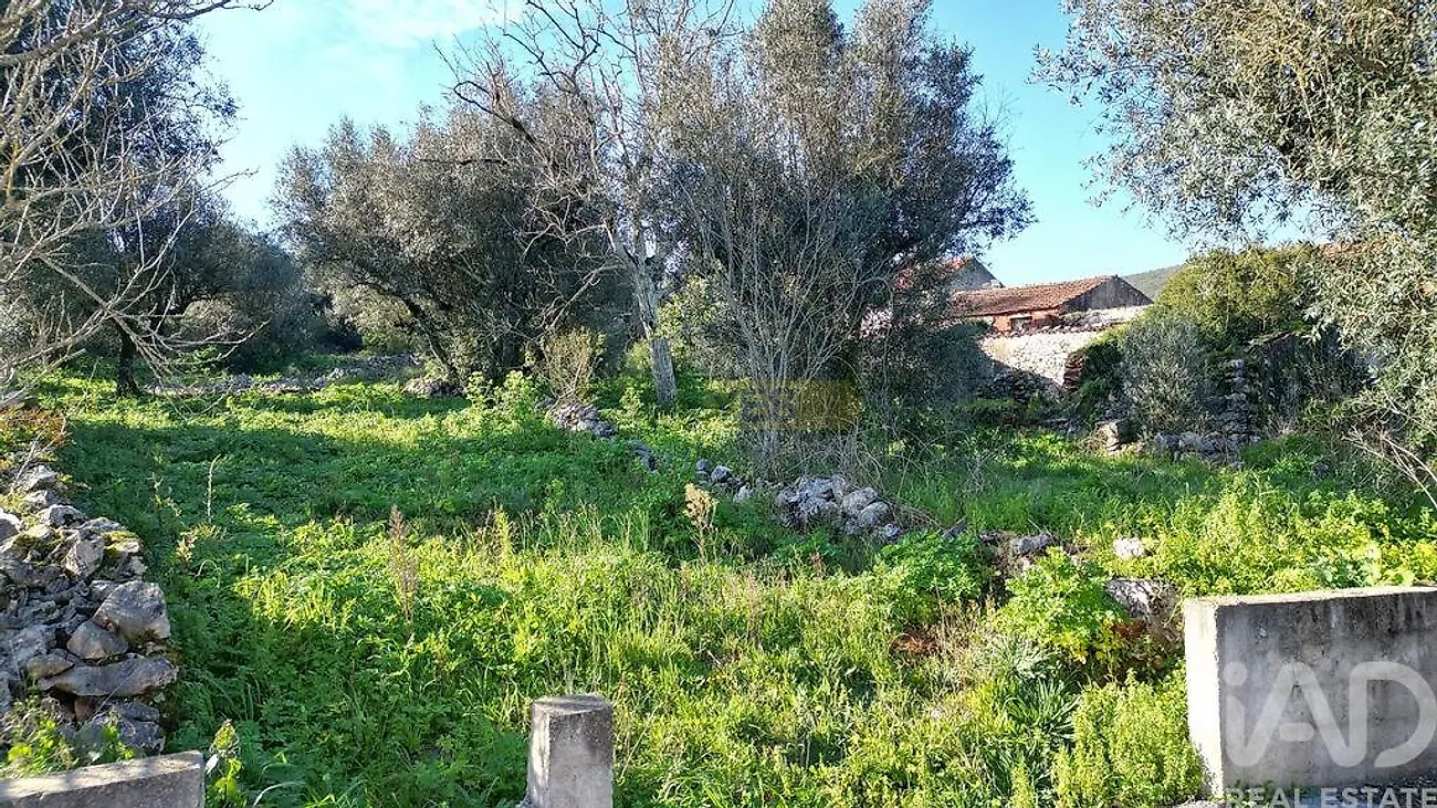 Moradia T0 à venda em São Miguel, Santa Eufémia e Rabaçal, Penela — foto 12