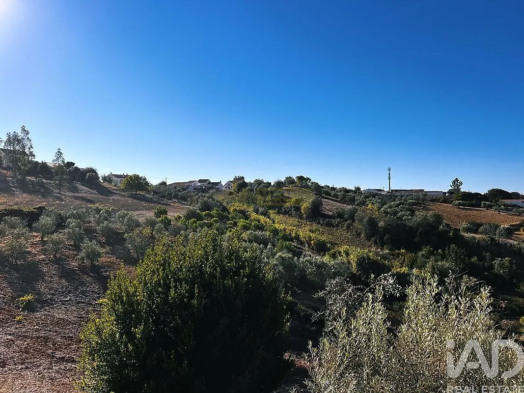 Moradia T3 à venda em Moçarria, Santarém — foto 10