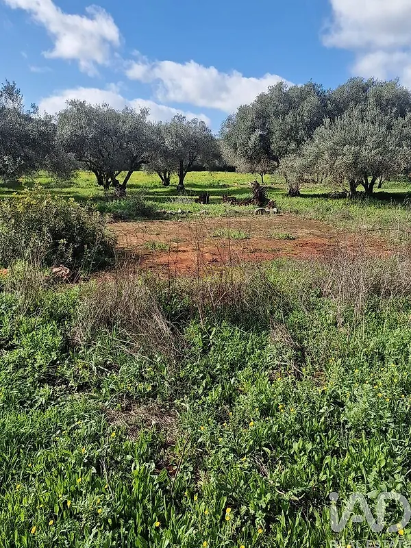 Moradia T0 à venda em Salir, Loulé — foto 10