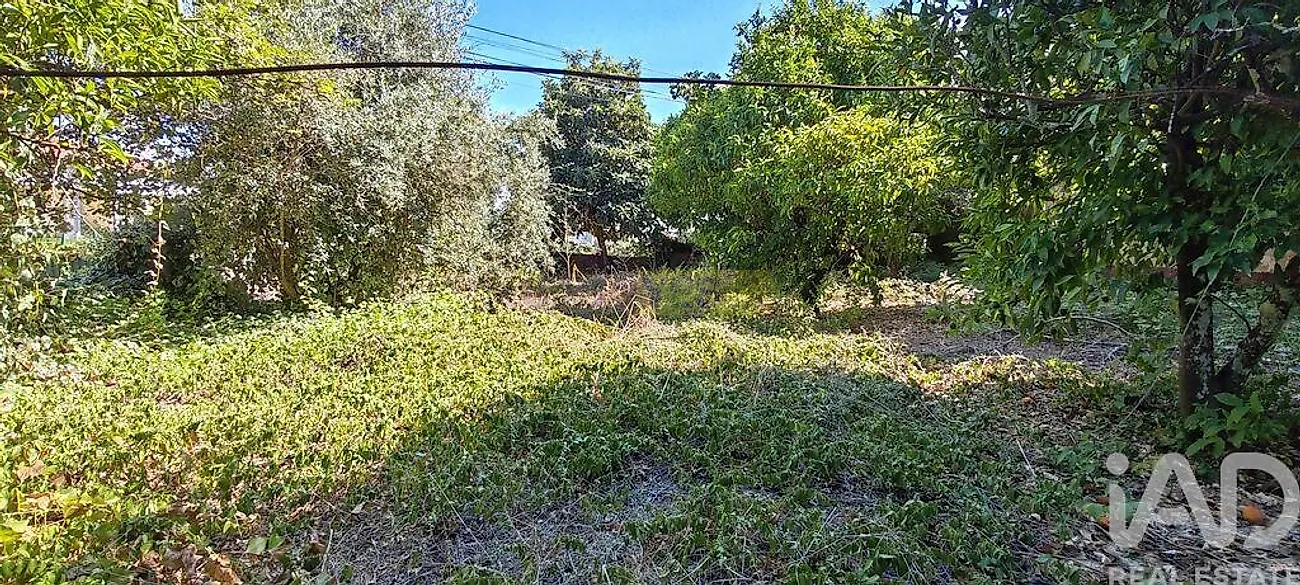 Moradia T4 à venda em Montes da Senhora, Proença-a-Nova — foto 37