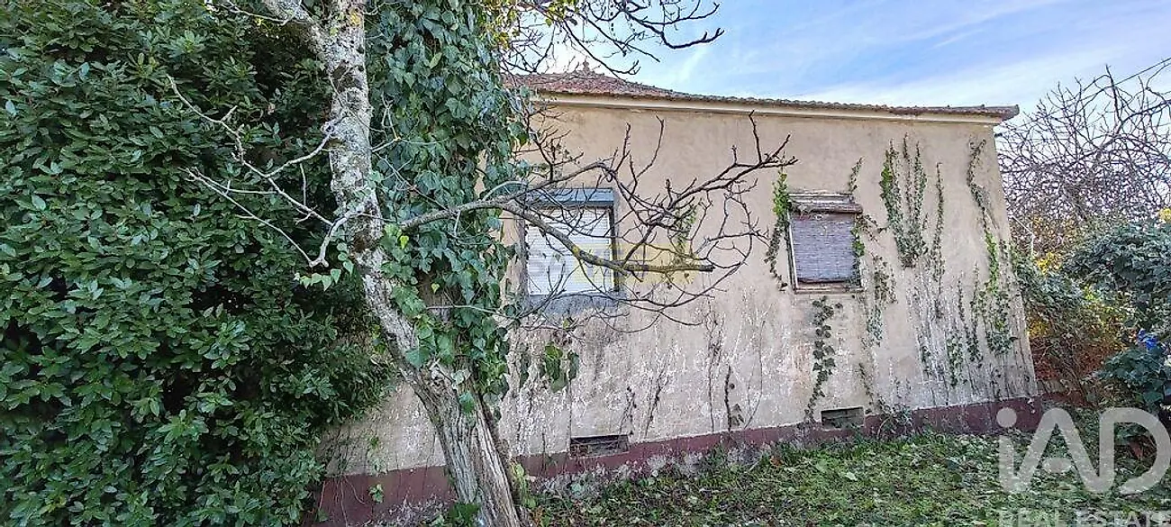 Moradia T4 à venda em Montes da Senhora, Proença-a-Nova — foto 7