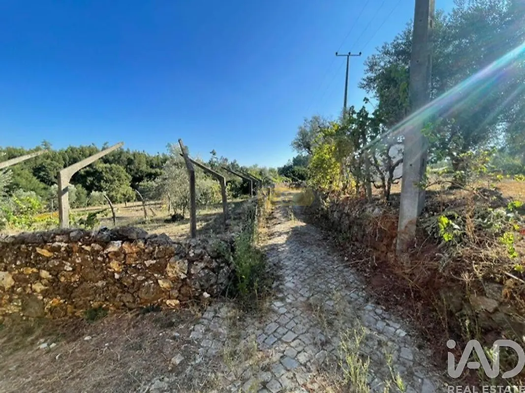Moradia T2 à venda em Figueiró dos Vinhos e Bairradas, Figueiró dos Vinhos — foto 26