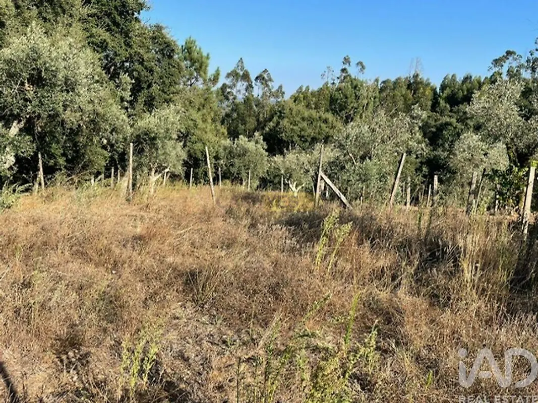 Moradia T2 à venda em Figueiró dos Vinhos e Bairradas, Figueiró dos Vinhos — foto 13