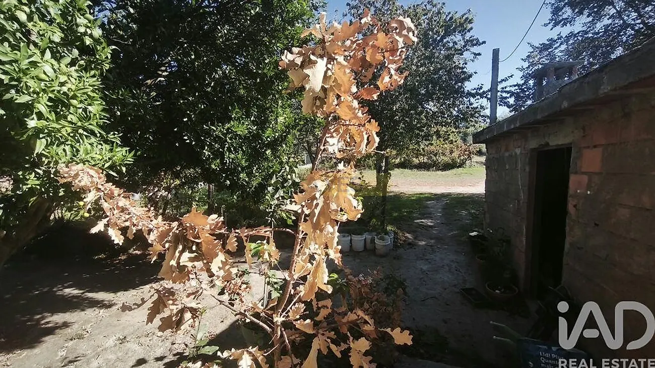 Moradia T0 à venda em Lagos da Beira e Lajeosa, Oliveira do Hospital — foto 10