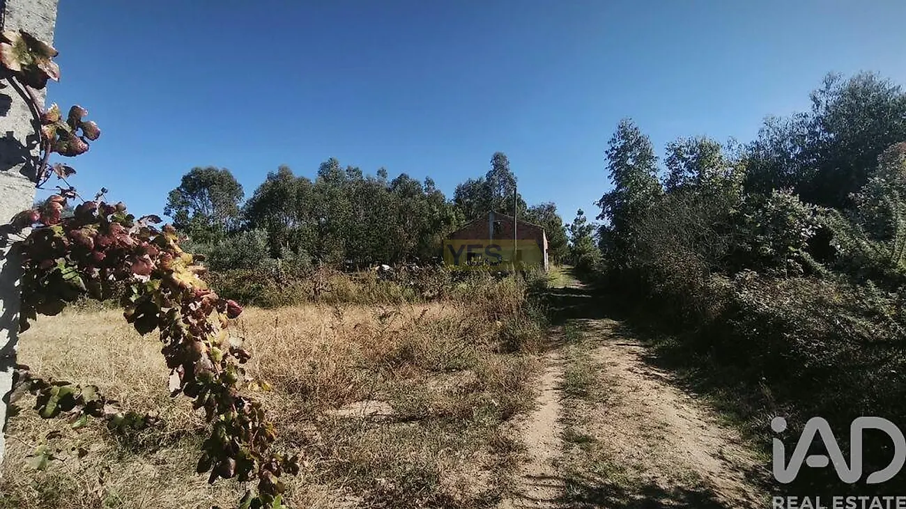 Moradia T0 à venda em Lagos da Beira e Lajeosa, Oliveira do Hospital — foto 15