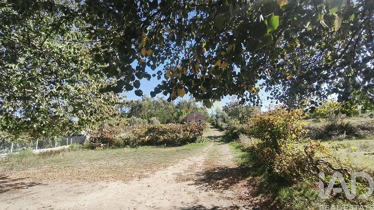 Moradia T0 à venda em Lagos da Beira e Lajeosa, Oliveira do Hospital — foto 22