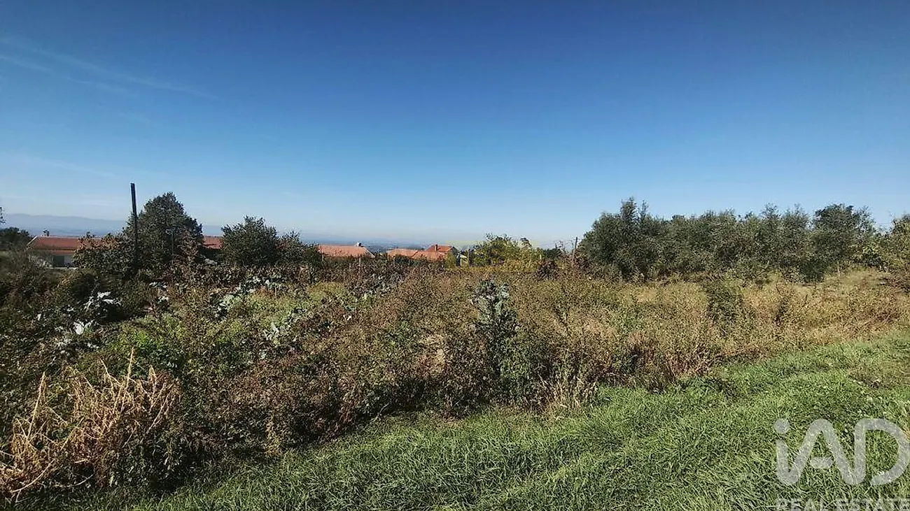 Moradia T0 à venda em Lagos da Beira e Lajeosa, Oliveira do Hospital — foto 33