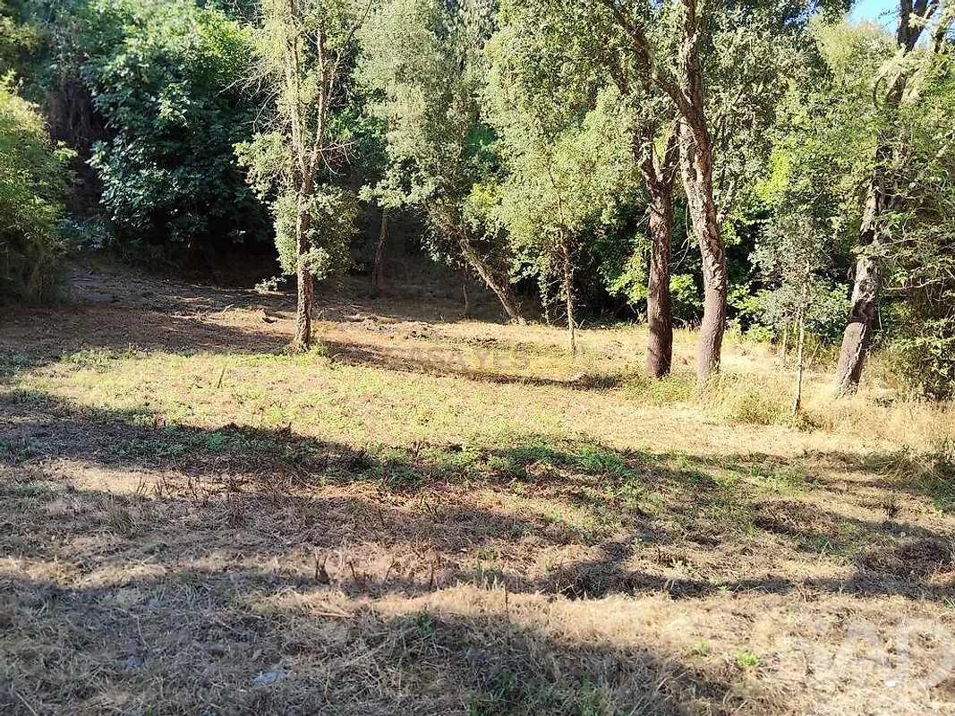 Moradia T0 à venda em Madeirã, Oleiros — foto 22
