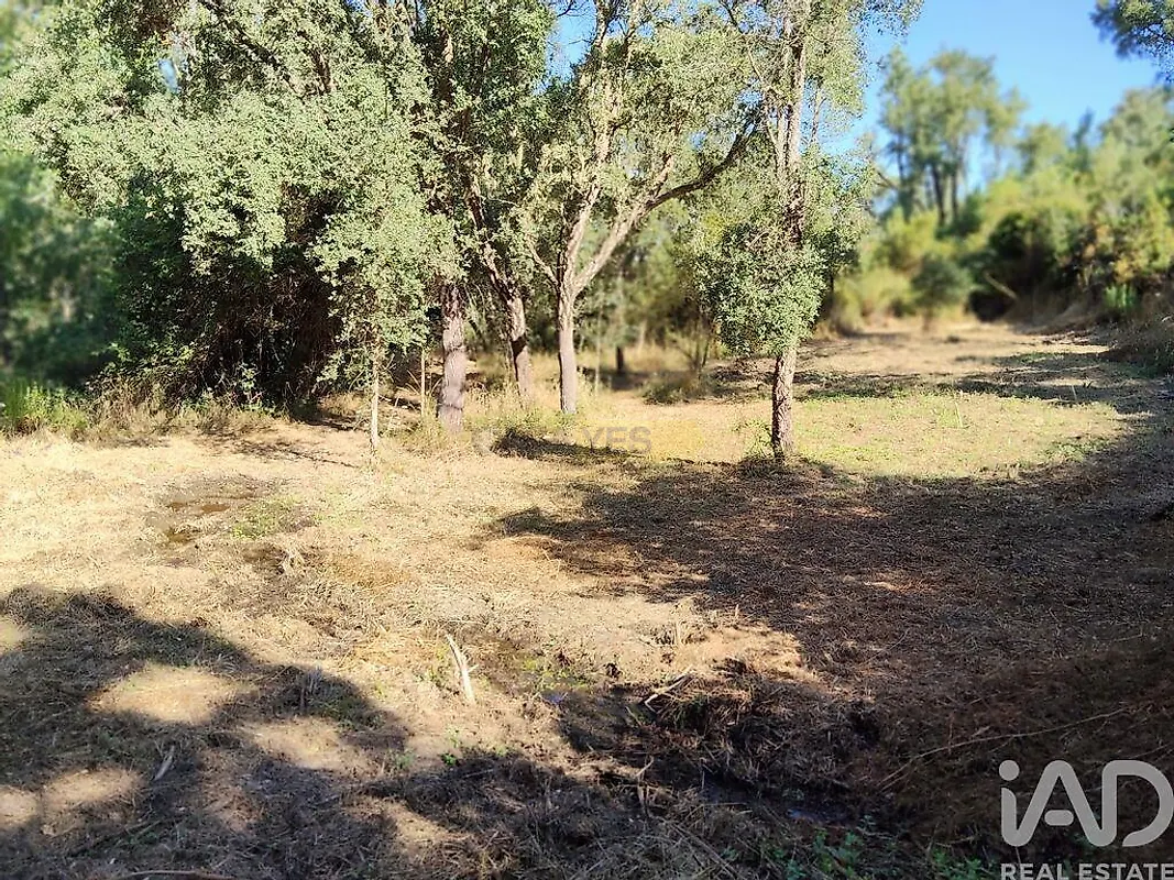 Moradia T0 à venda em Madeirã, Oleiros — foto 24