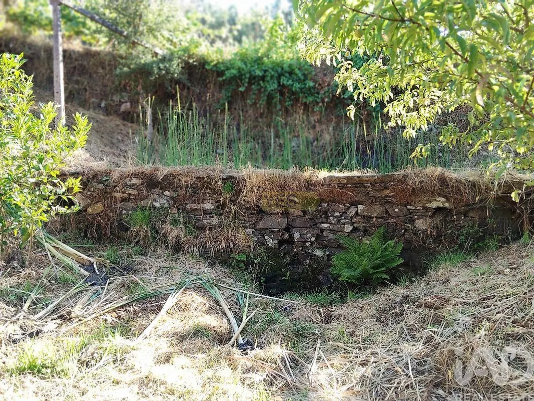 Moradia T0 à venda em Madeirã, Oleiros — foto 23