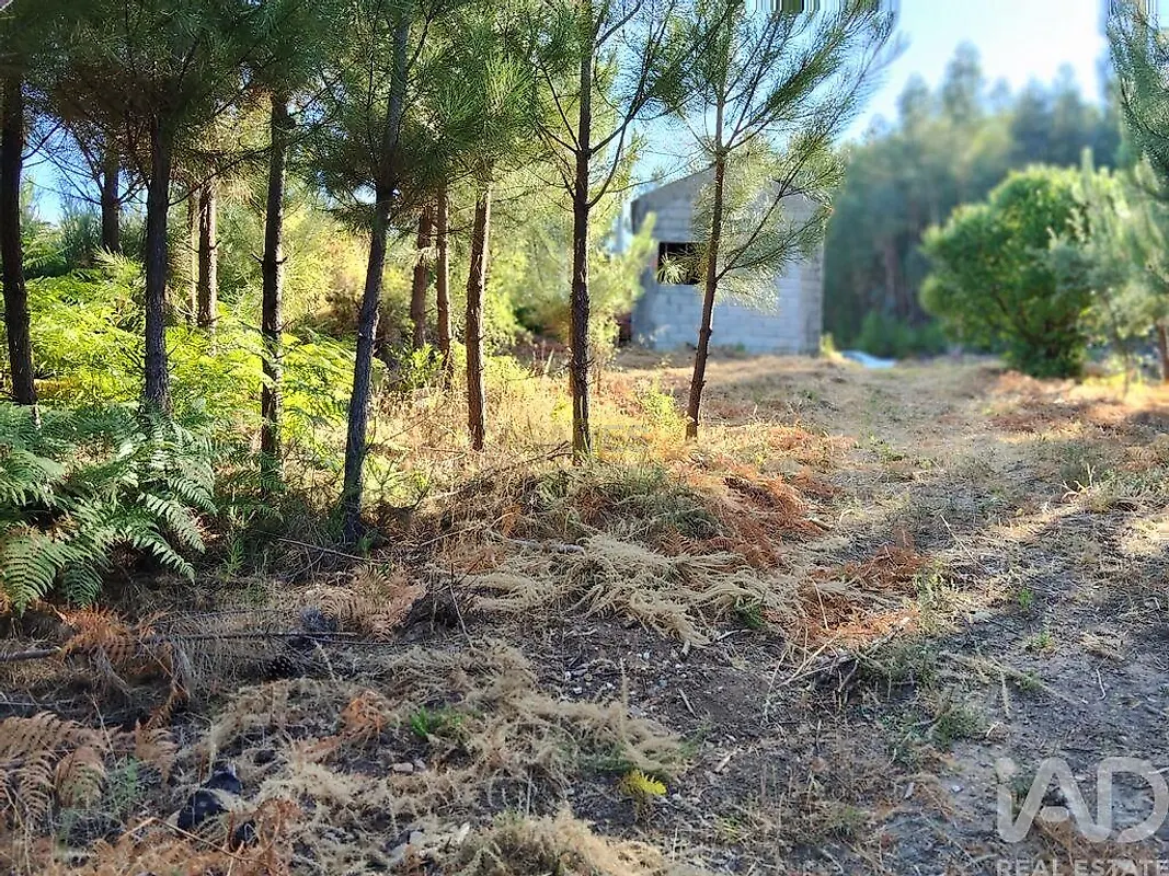 Moradia T0 à venda em Madeirã, Oleiros — foto 11