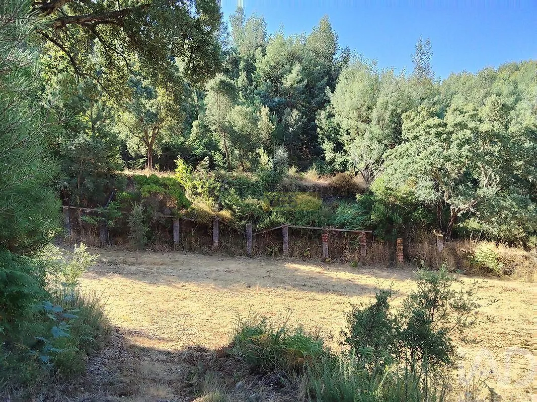 Moradia T0 à venda em Madeirã, Oleiros — foto 21