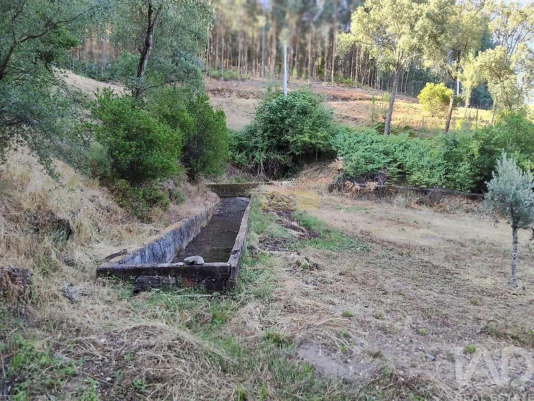 Moradia T0 à venda em Madeirã, Oleiros — foto 5