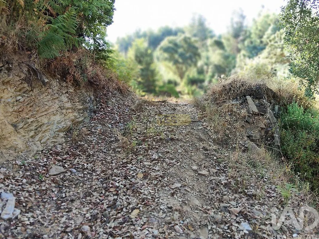 Moradia T0 à venda em Madeirã, Oleiros — foto 27
