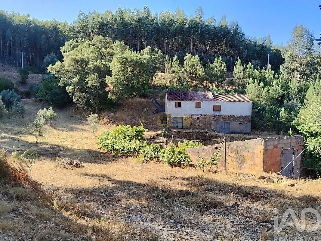 Moradia T0 à venda em Madeirã, Oleiros — foto 12