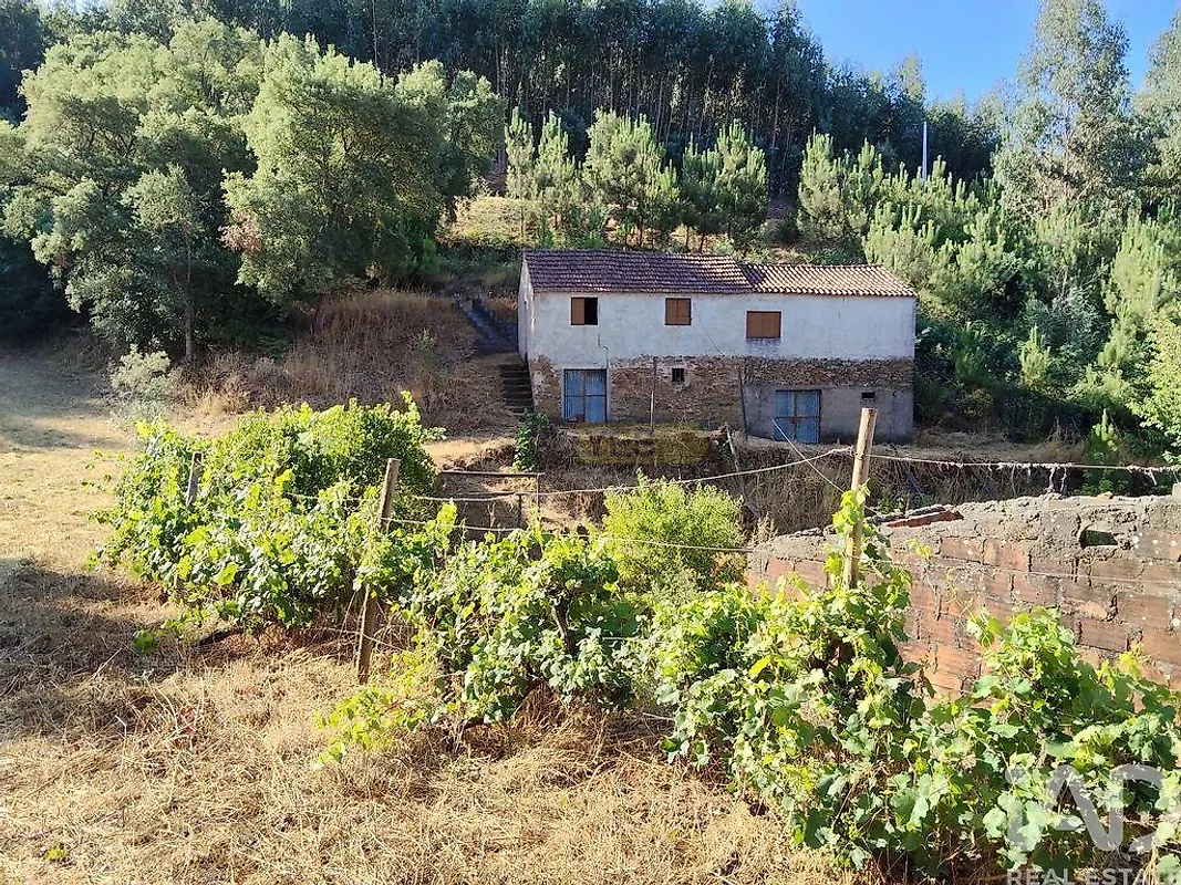 Moradia T0 à venda em Madeirã, Oleiros — foto 2