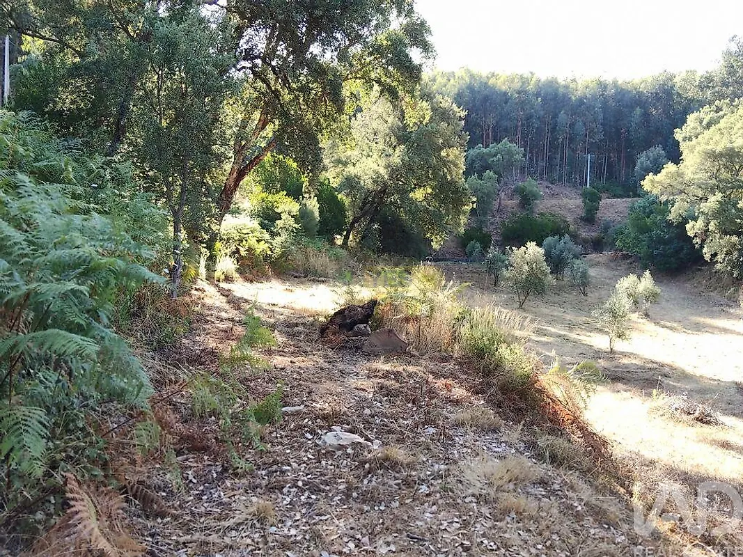 Moradia T0 à venda em Madeirã, Oleiros — foto 13