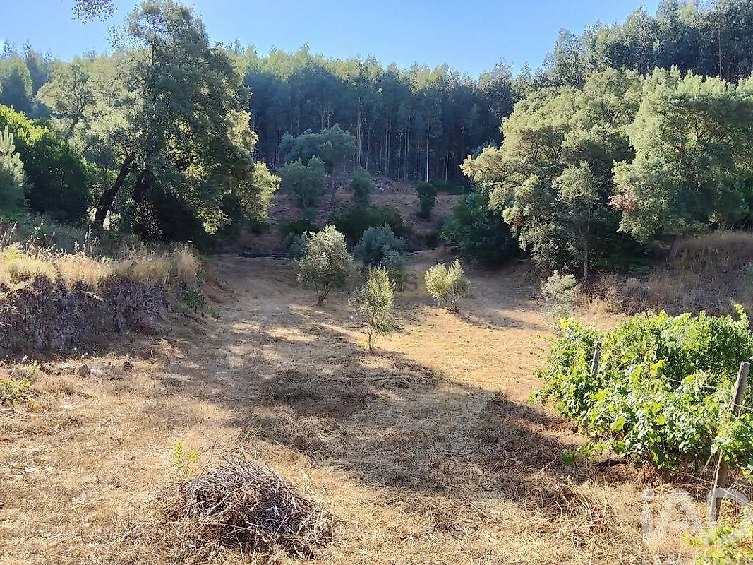 Moradia T0 à venda em Madeirã, Oleiros — foto 15