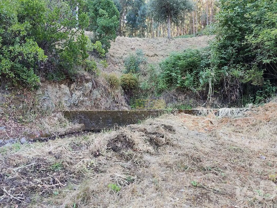 Moradia T0 à venda em Madeirã, Oleiros — foto 6