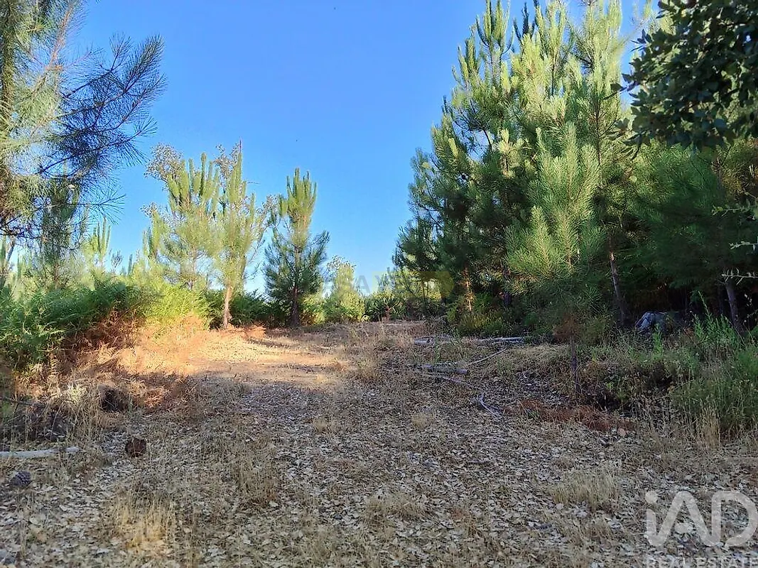 Moradia T0 à venda em Madeirã, Oleiros — foto 14