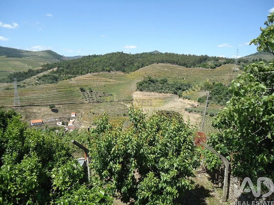 Moradia T3 à venda em Vacalar, Armamar — foto 11