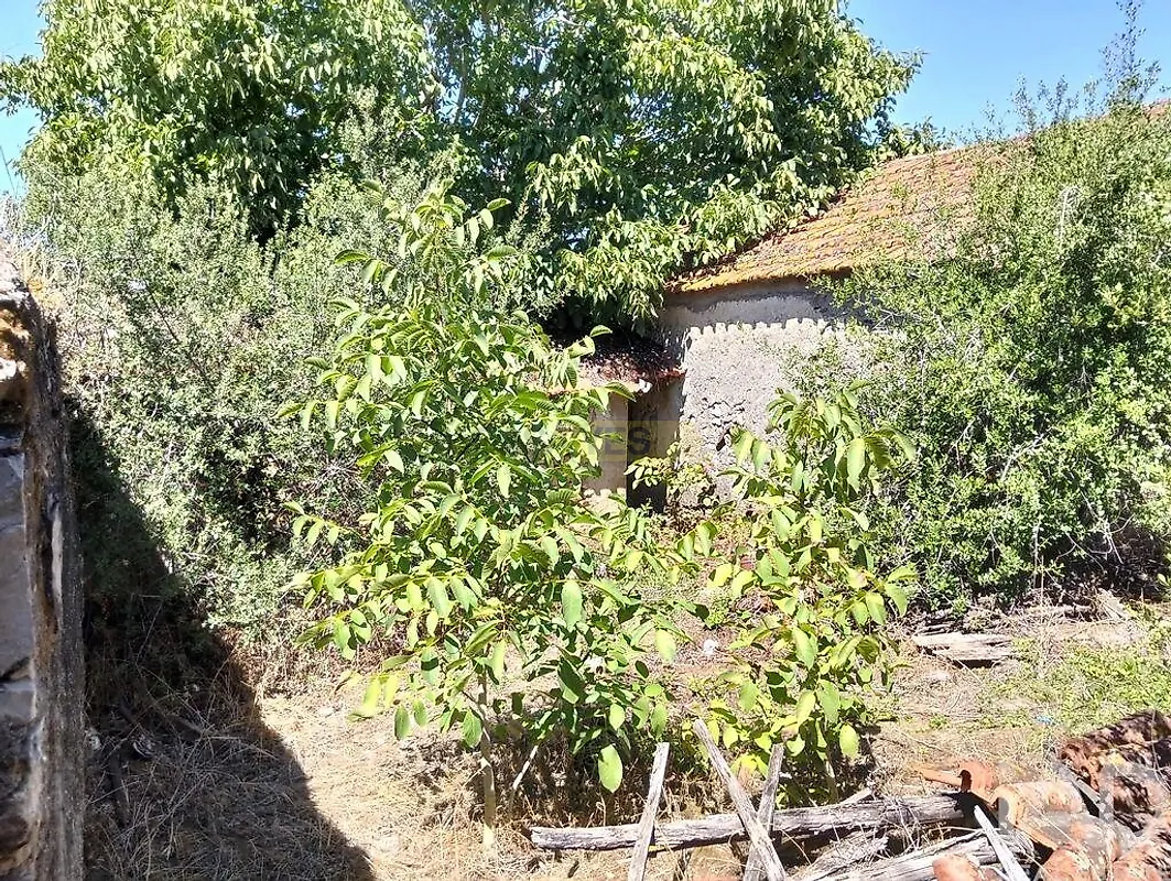 Moradia T0 à venda em Brogueira, Parceiros de Igreja e Alcorochel, Torres Novas — foto 10