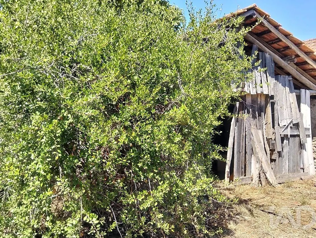Moradia T0 à venda em Brogueira, Parceiros de Igreja e Alcorochel, Torres Novas — foto 2