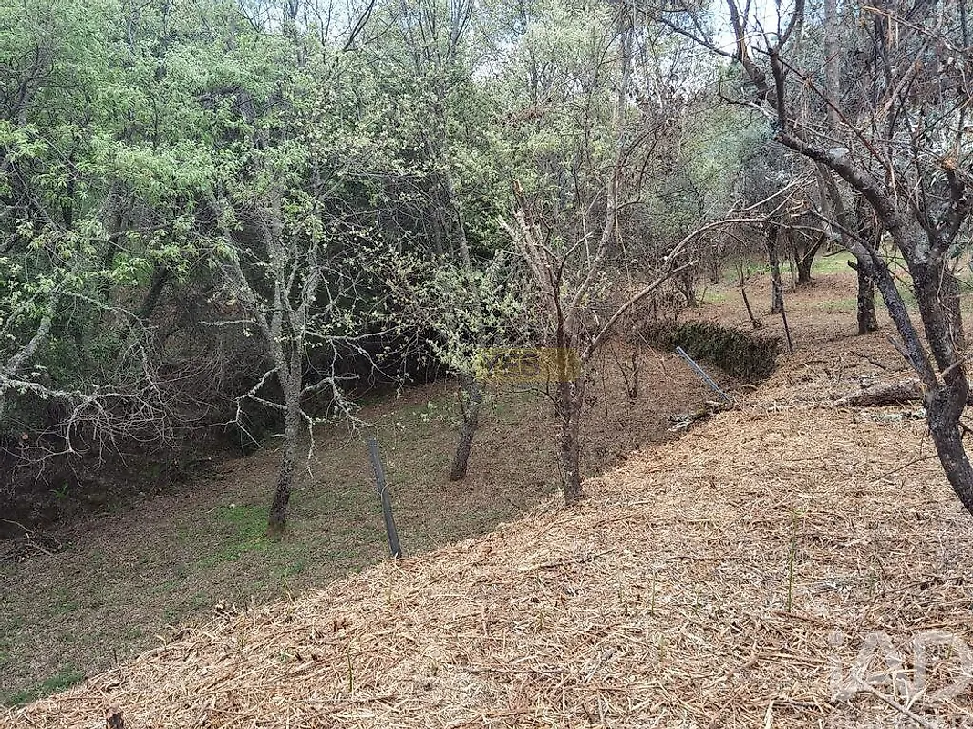 Moradia T0 à venda em Aldeias e Mangualde da Serra, Gouveia — foto 9