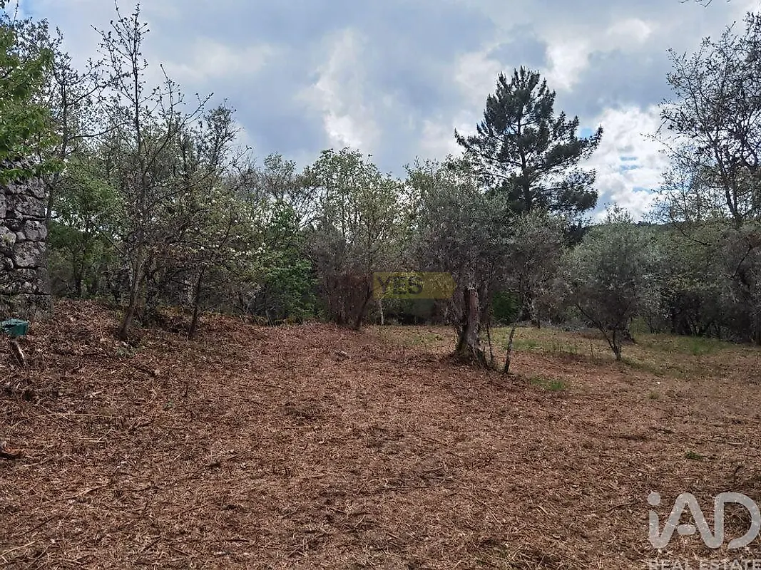 Moradia T0 à venda em Aldeias e Mangualde da Serra, Gouveia — foto 8