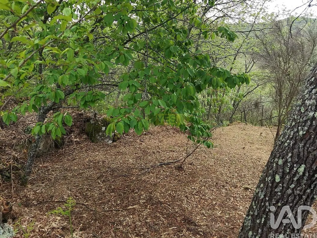 Moradia T0 à venda em Aldeias e Mangualde da Serra, Gouveia — foto 14