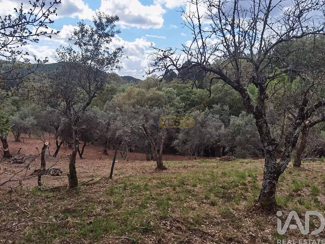 Moradia T0 à venda em Aldeias e Mangualde da Serra, Gouveia — foto 27