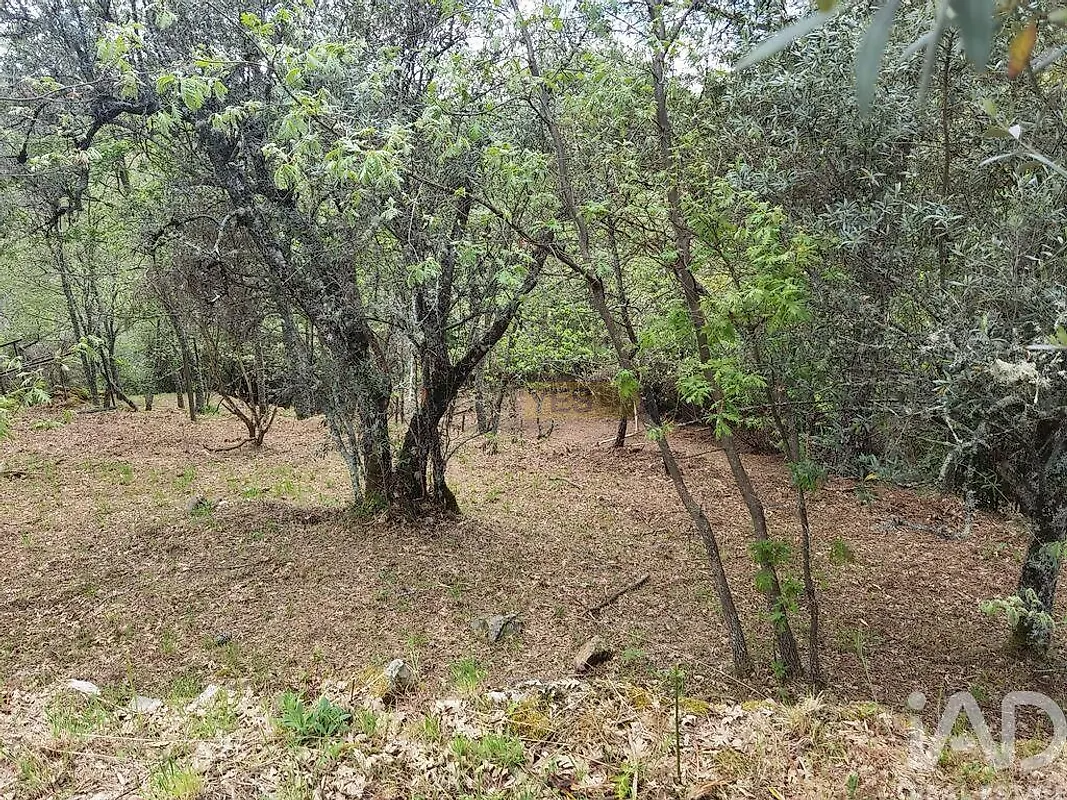 Moradia T0 à venda em Aldeias e Mangualde da Serra, Gouveia — foto 12