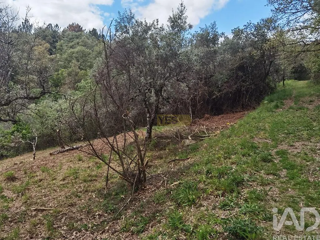 Moradia T0 à venda em Aldeias e Mangualde da Serra, Gouveia — foto 6