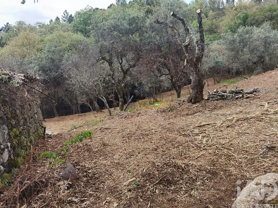 Moradia T0 à venda em Aldeias e Mangualde da Serra, Gouveia — foto 22