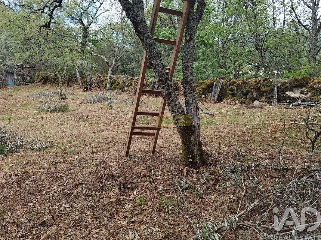 Moradia T0 à venda em Aldeias e Mangualde da Serra, Gouveia — foto 16