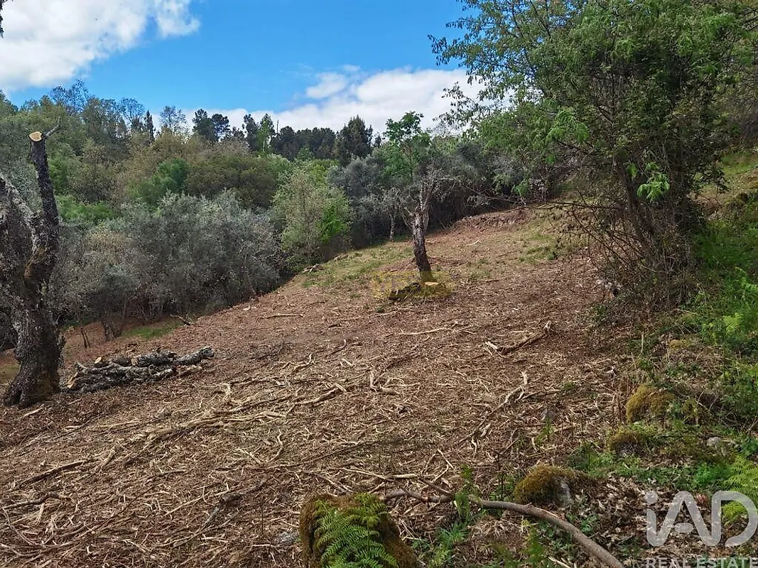 Moradia T0 à venda em Aldeias e Mangualde da Serra, Gouveia — foto 23