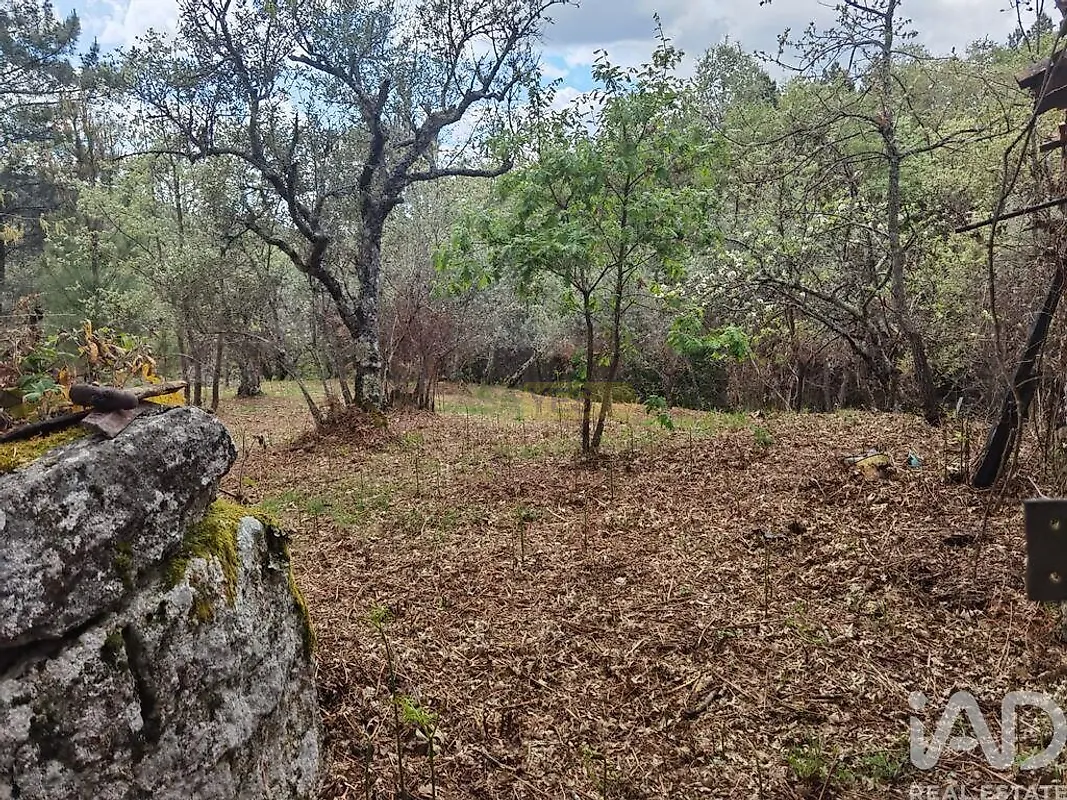 Moradia T0 à venda em Aldeias e Mangualde da Serra, Gouveia — foto 21