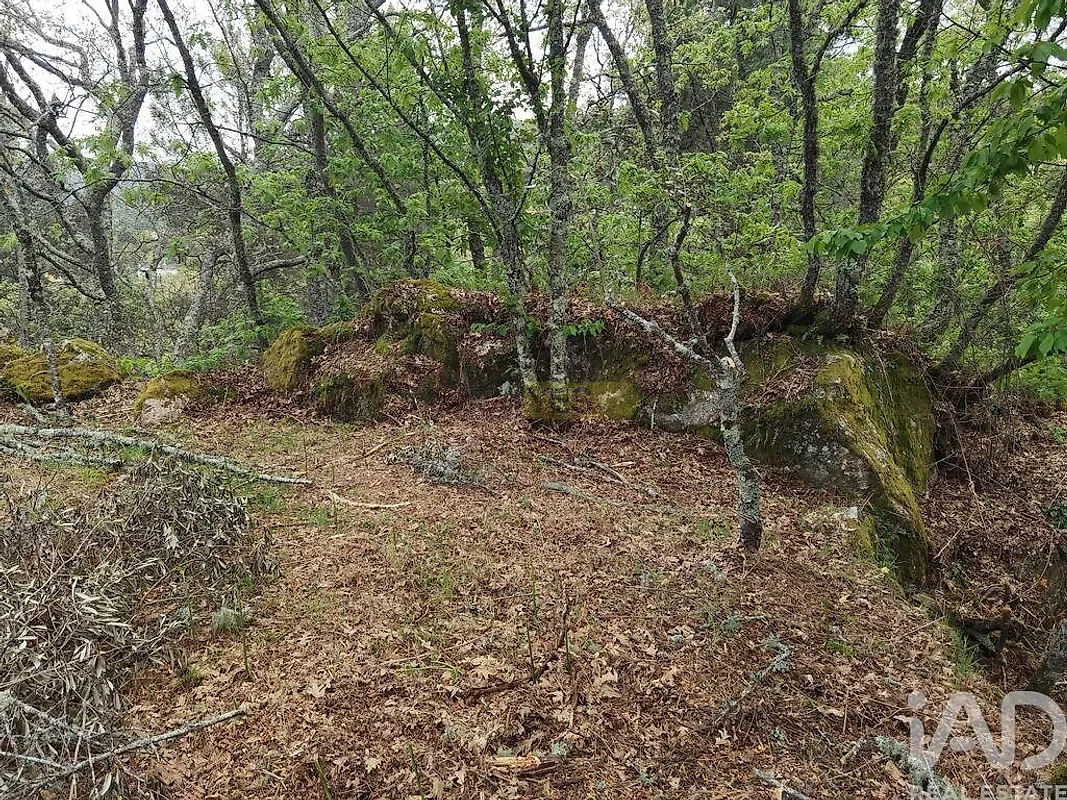 Moradia T0 à venda em Aldeias e Mangualde da Serra, Gouveia — foto 15