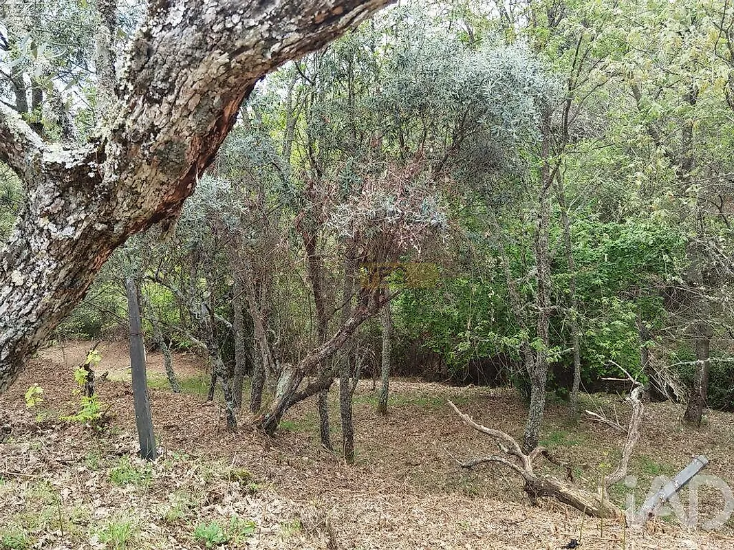 Moradia T0 à venda em Aldeias e Mangualde da Serra, Gouveia — foto 10