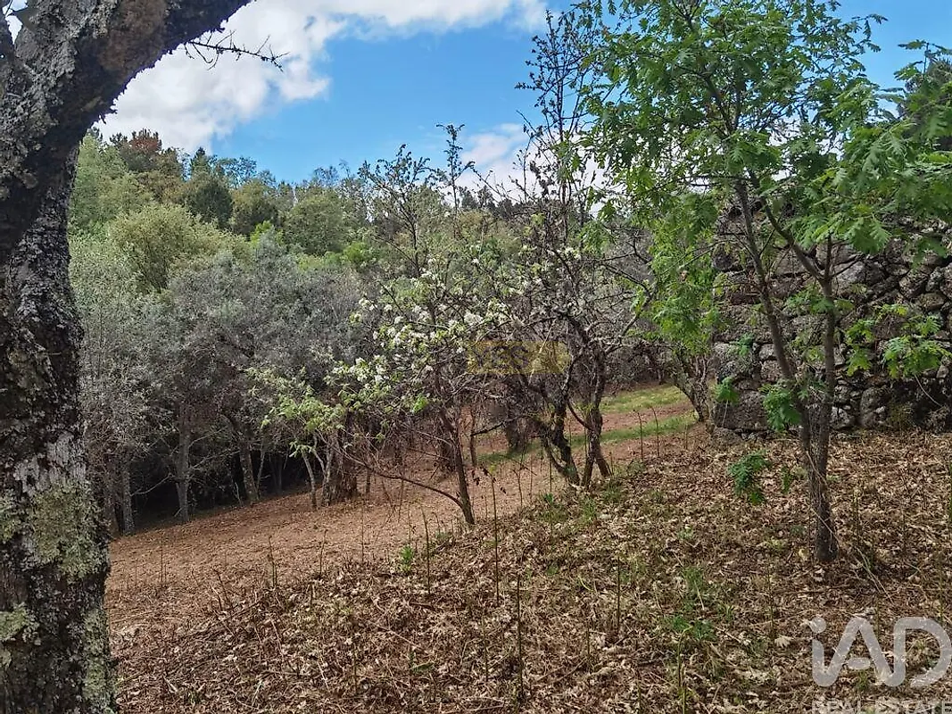 Moradia T0 à venda em Aldeias e Mangualde da Serra, Gouveia — foto 20