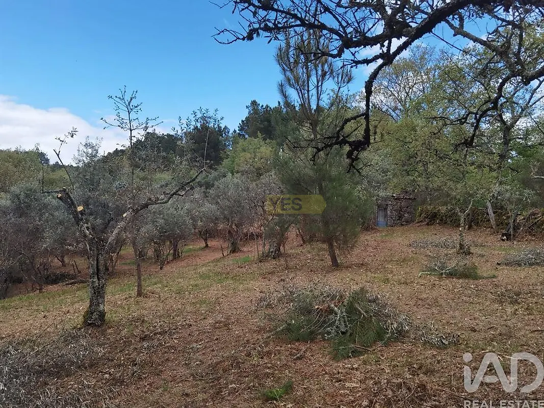 Moradia T0 à venda em Aldeias e Mangualde da Serra, Gouveia — foto 18