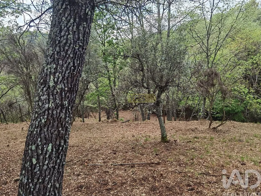 Moradia T0 à venda em Aldeias e Mangualde da Serra, Gouveia — foto 13