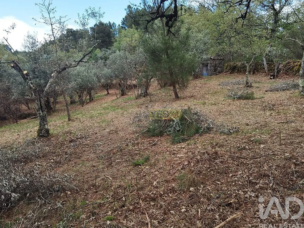 Moradia T0 à venda em Aldeias e Mangualde da Serra, Gouveia — foto 17